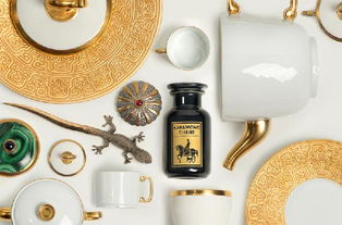 唐物茶入魚(yú)玄機(jī) 用茶道視角解析產(chǎn)品與品牌文化的網(wǎng)絡(luò)技術(shù)融合